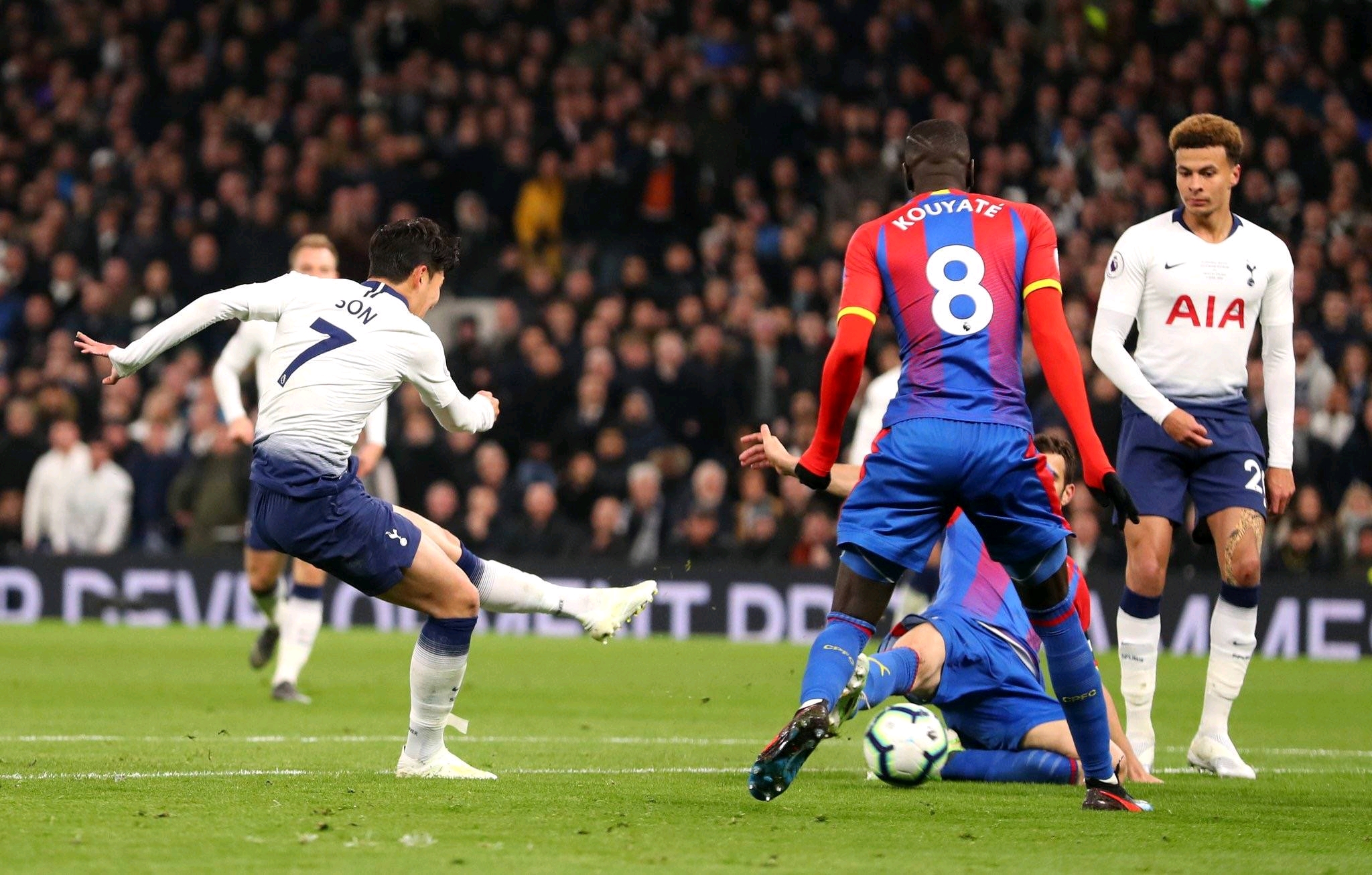 利用老鹰防 利用老鹰防